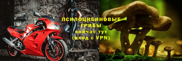таблы Грязовец