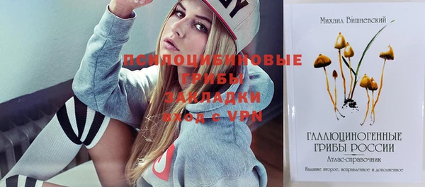 дмт Осинники