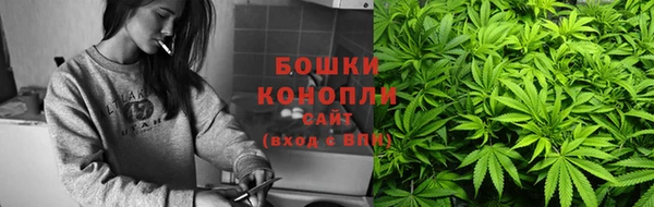дмт Осинники