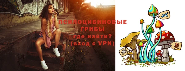 дмт Осинники